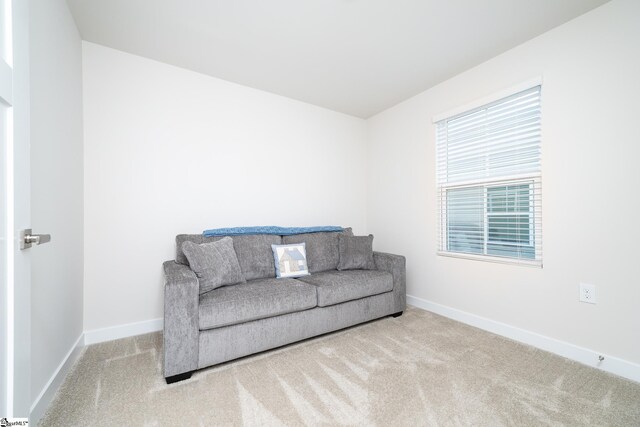 living area with light colored carpet