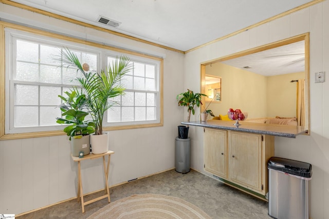 interior space with a healthy amount of sunlight, light colored carpet, and crown molding