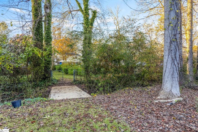 view of yard with a patio