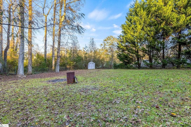 view of yard with a shed