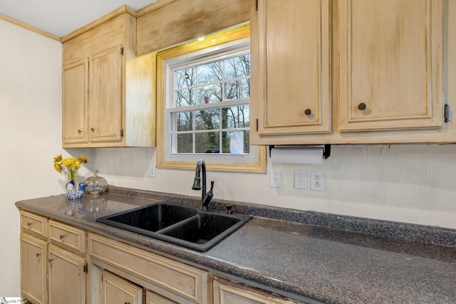 kitchen featuring light brown cabinetry and sink