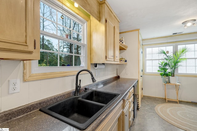 kitchen featuring light brown cabinetry and sink