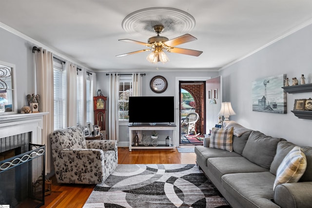 living room featuring light hardwood / wood-style floors, ceiling fan, and crown molding