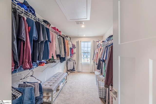 spacious closet with carpet floors