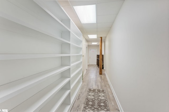 hallway with a paneled ceiling and light hardwood / wood-style flooring