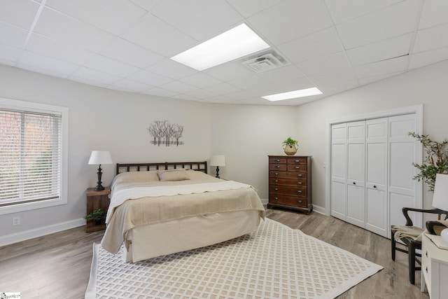 bedroom featuring a drop ceiling, light wood-type flooring, and a closet