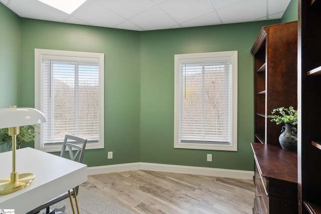 home office with plenty of natural light, a drop ceiling, and light wood-type flooring