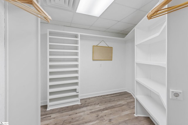 spacious closet featuring a drop ceiling and wood-type flooring