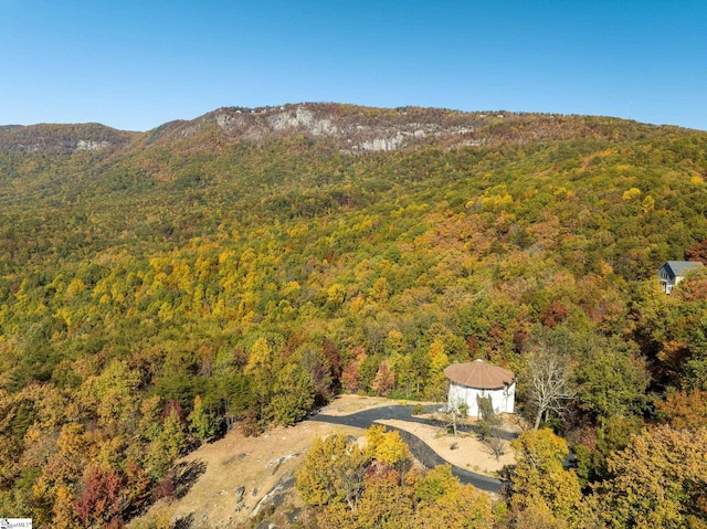 bird's eye view with a mountain view