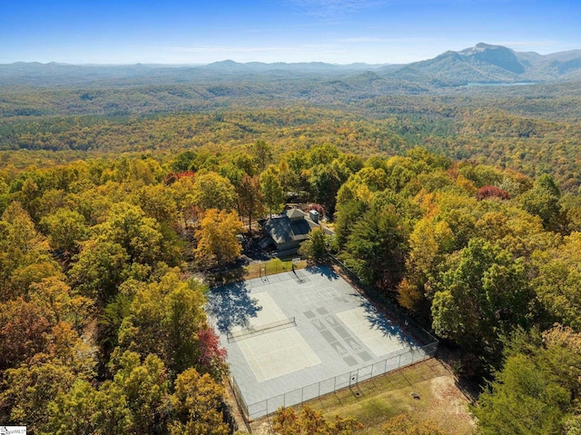 aerial view with a mountain view