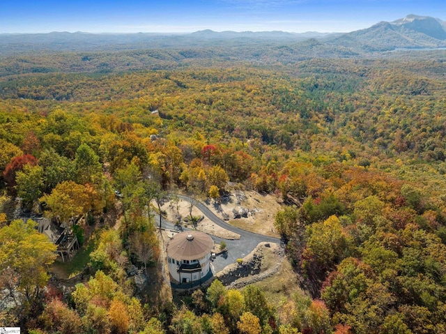 birds eye view of property featuring a mountain view