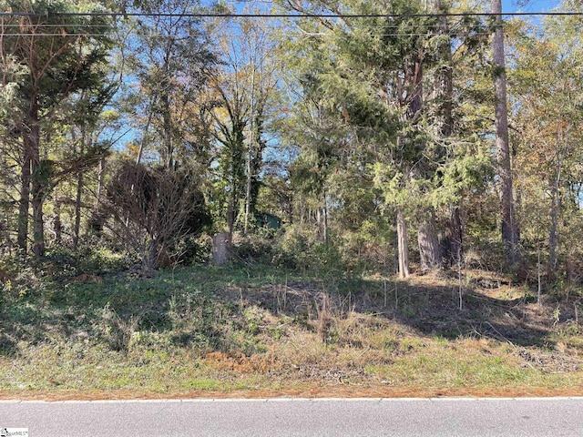 00 Pinehaven St, Laurens SC, 29360 land for sale