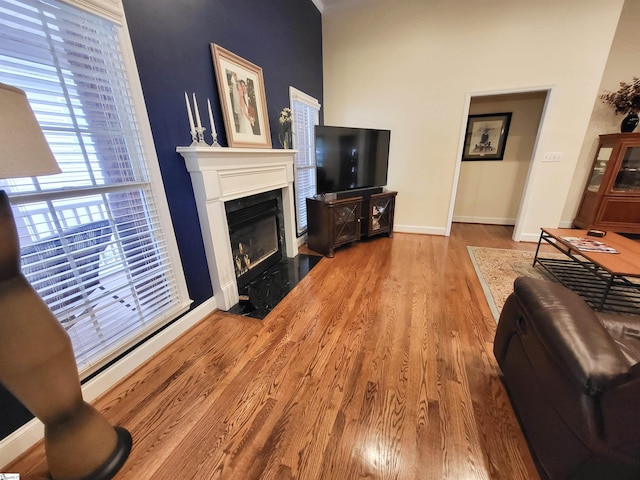 living room featuring hardwood / wood-style flooring