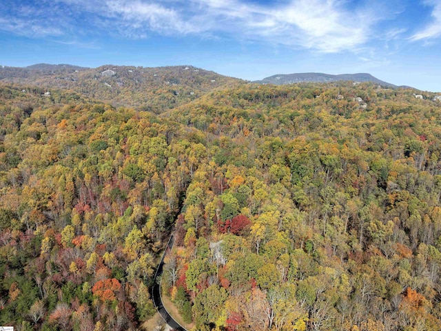 view of mountain feature