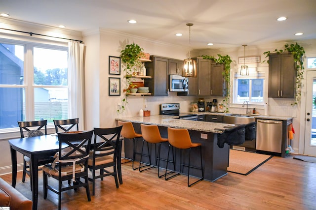 kitchen featuring dark brown cabinetry, pendant lighting, stainless steel appliances, and light hardwood / wood-style flooring