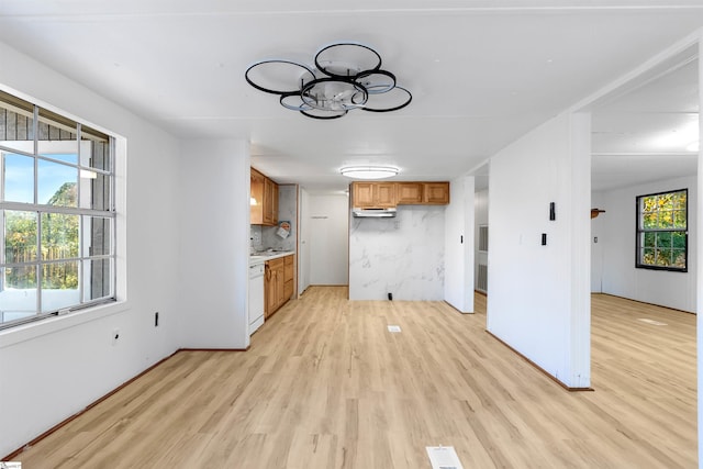 kitchen featuring dishwasher, tasteful backsplash, and light hardwood / wood-style flooring