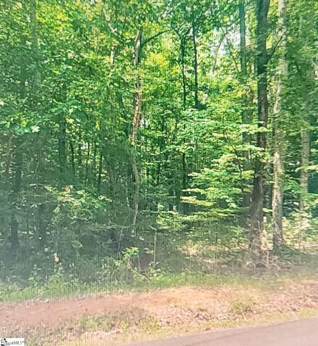 0 Manhattan Blvd, Piedmont, SC 29763