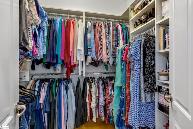 spacious closet with hardwood / wood-style flooring