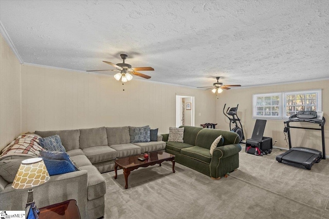 living room featuring a textured ceiling, light colored carpet, ceiling fan, and ornamental molding