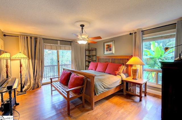 bedroom with light hardwood / wood-style floors, access to exterior, a textured ceiling, and multiple windows