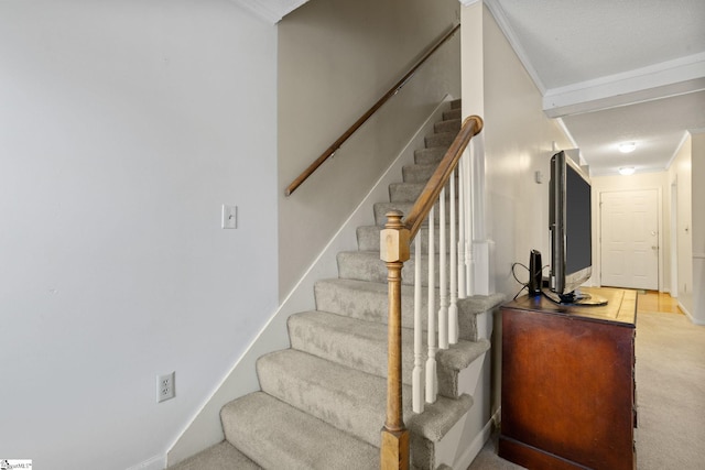 stairs with carpet and ornamental molding