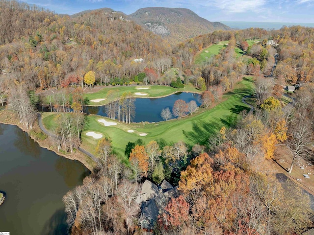 birds eye view of property with a water and mountain view