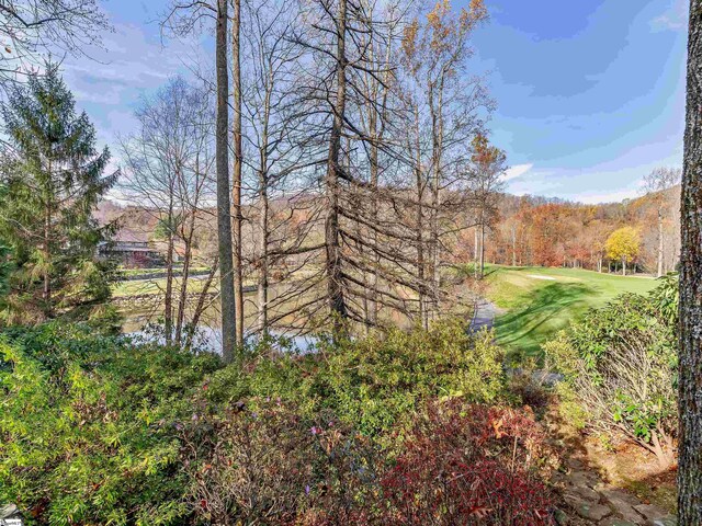 view of yard with a water view