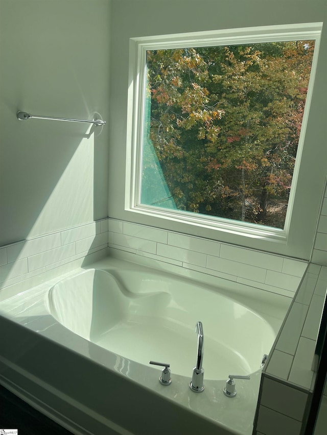 bathroom featuring a washtub