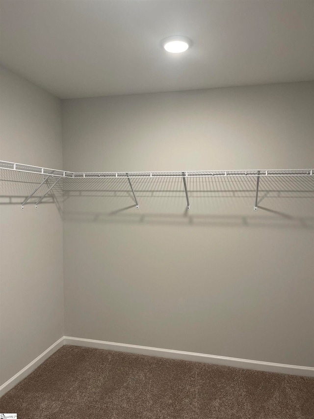 spacious closet with carpet flooring