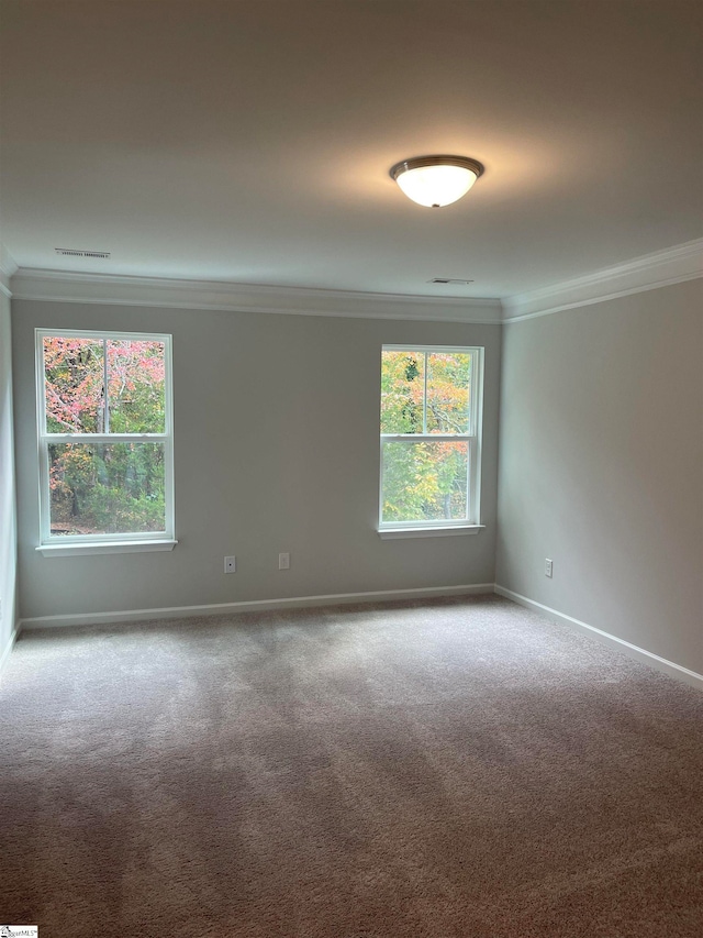 spare room featuring carpet flooring and ornamental molding