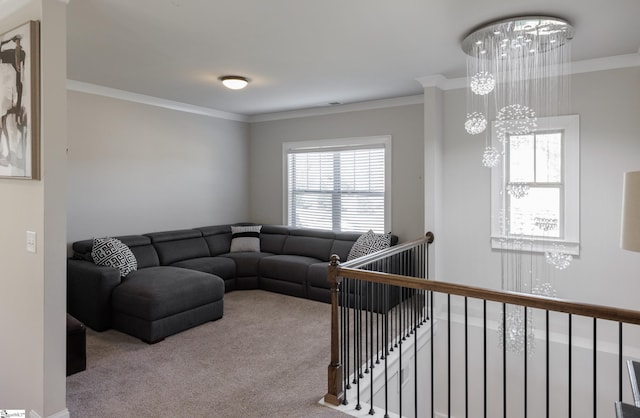 carpeted living room with an inviting chandelier and ornamental molding