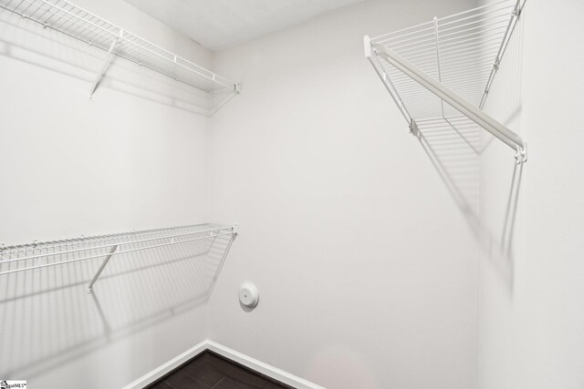 spacious closet featuring hardwood / wood-style flooring