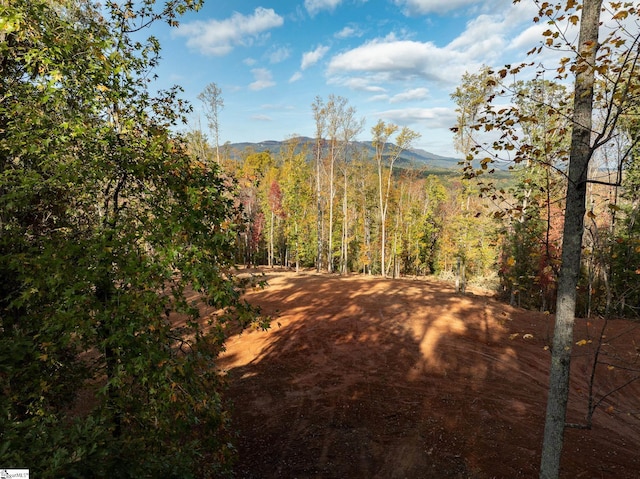 625 Chinquapin Rd, Travelers Rest, SC 29690