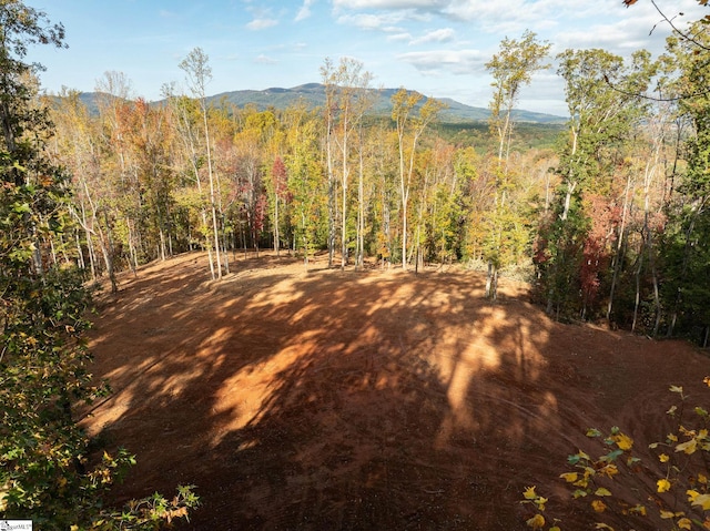 625 Chinquapin Rd, Travelers Rest, SC 29690