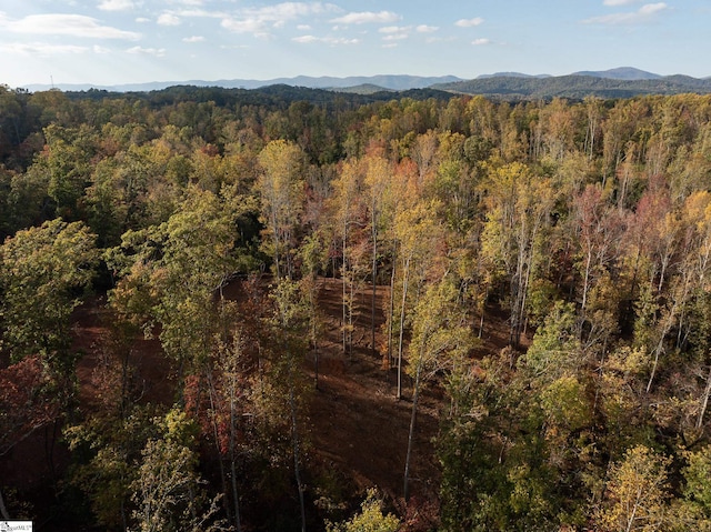 625 Chinquapin Rd, Travelers Rest, SC 29690