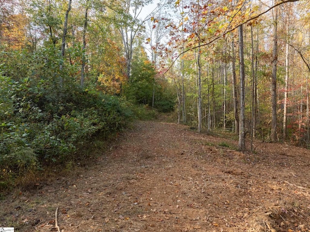 625 Chinquapin Rd, Travelers Rest, SC 29690