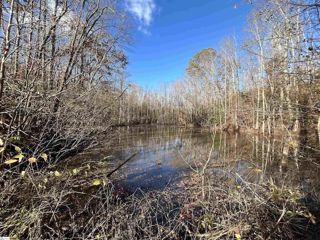 625 Chinquapin Rd, Travelers Rest, SC 29690