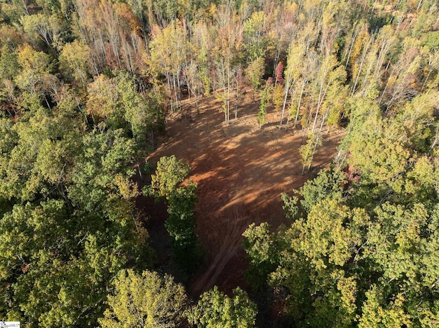 625 Chinquapin Rd, Travelers Rest, SC 29690