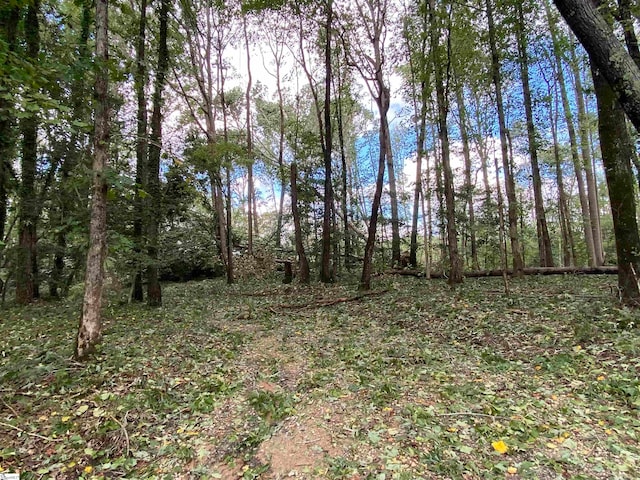 00 Howard Gap Rd, Inman SC, 29349 land for sale