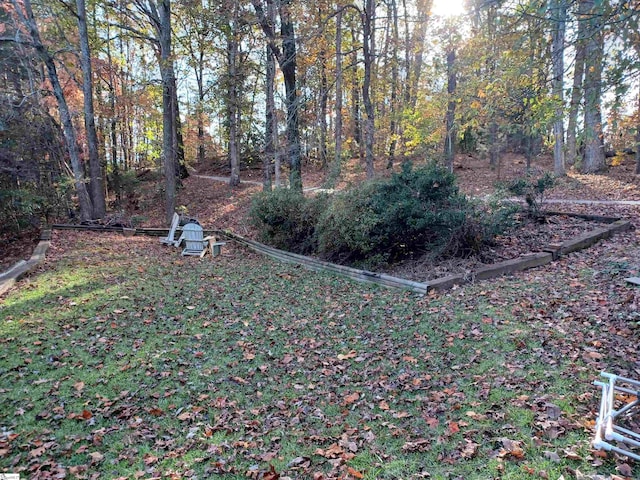 view of yard with a forest view