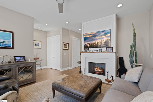 living room featuring light hardwood / wood-style floors