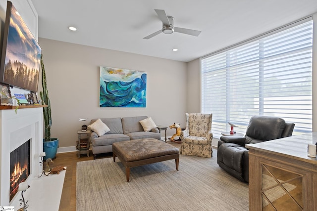 living room with ceiling fan and hardwood / wood-style flooring