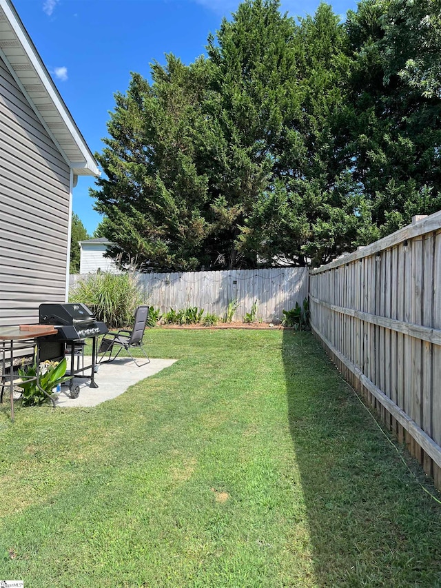 view of yard featuring a patio