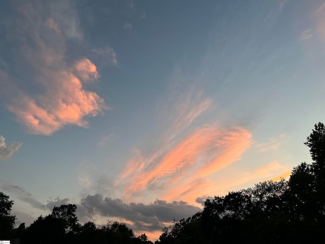 view of nature at dusk