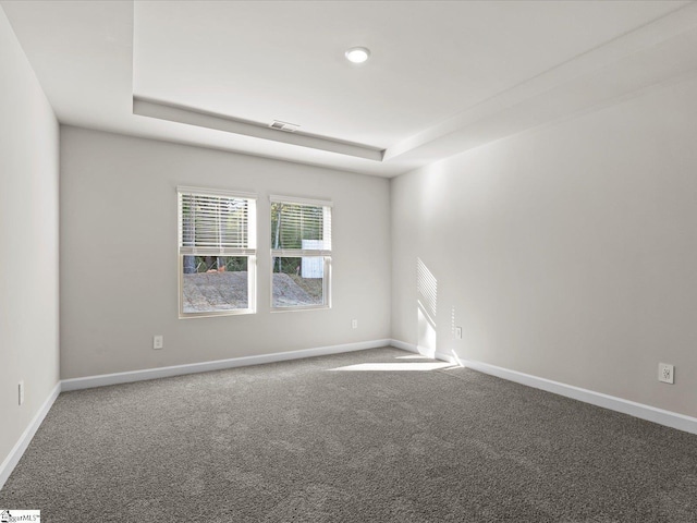 spare room featuring a raised ceiling and carpet flooring