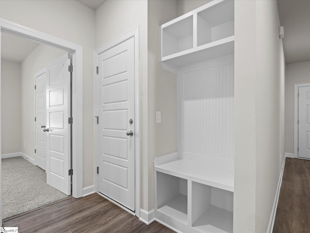 mudroom with dark wood-type flooring