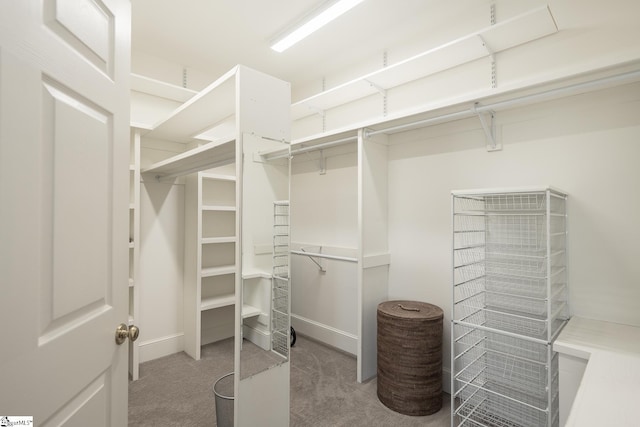 spacious closet featuring light carpet