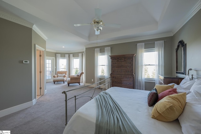 carpeted bedroom with a tray ceiling, multiple windows, ceiling fan, and crown molding