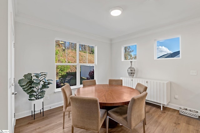 dining space featuring light hardwood / wood-style floors, ornamental molding, and radiator