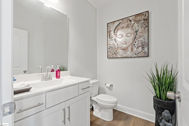 bathroom featuring vanity, toilet, and wood-type flooring